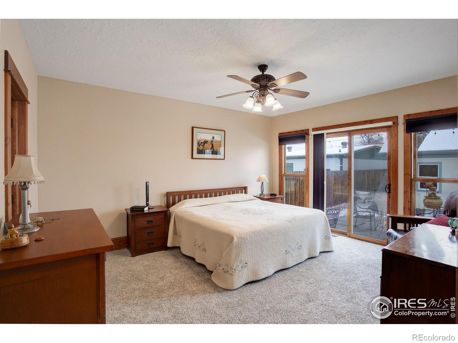 MLS Image #19 for 428 n grant avenue,loveland, Colorado