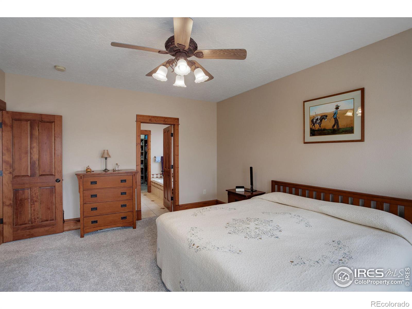 MLS Image #20 for 428 n grant avenue,loveland, Colorado