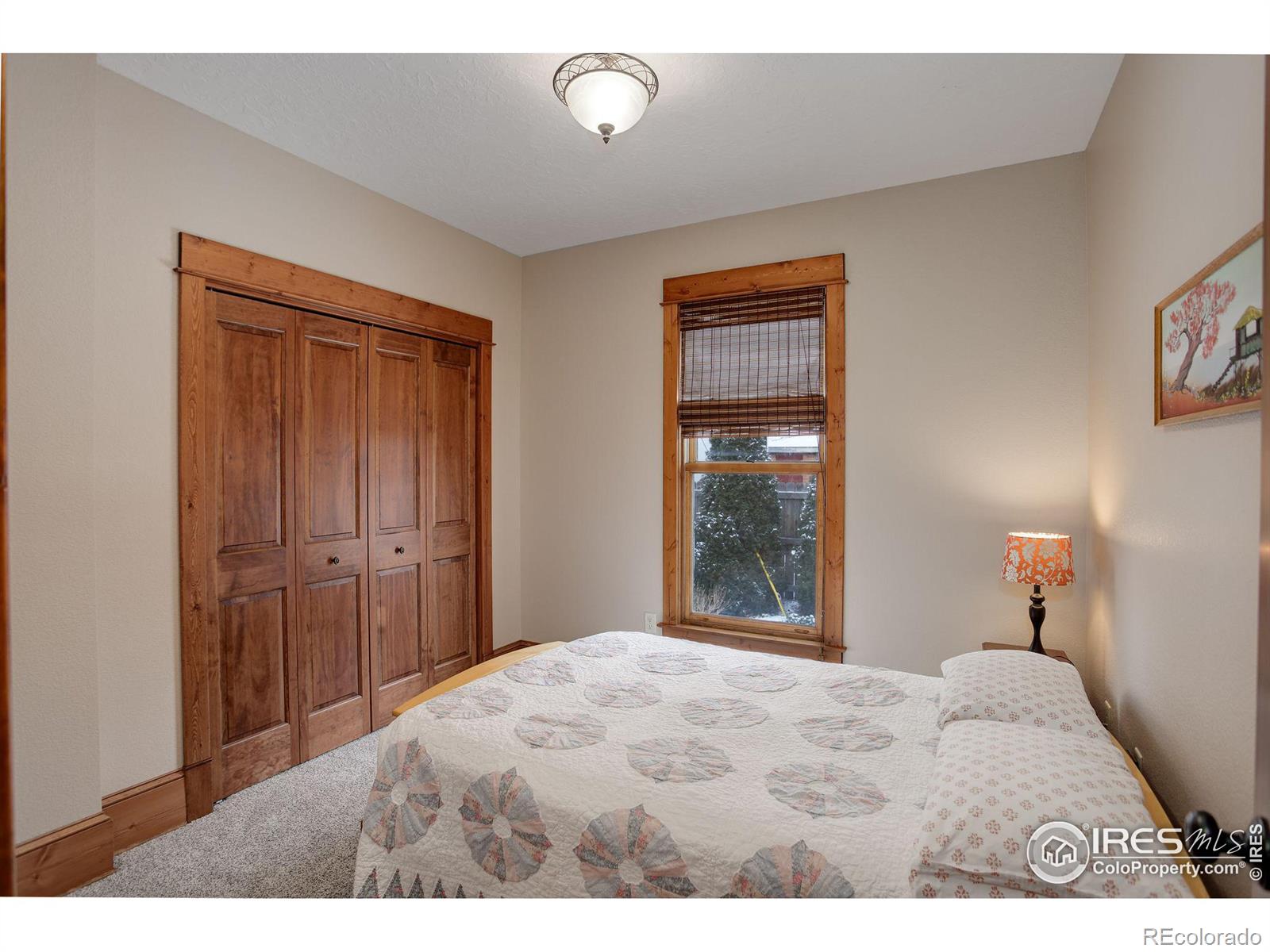 MLS Image #26 for 428 n grant avenue,loveland, Colorado