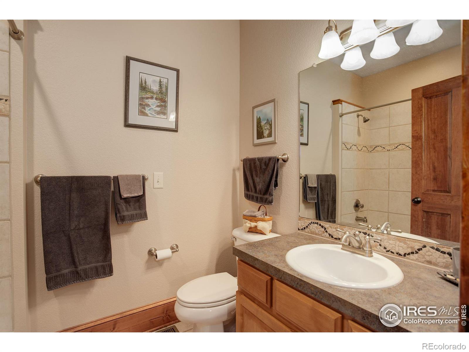 MLS Image #27 for 428 n grant avenue,loveland, Colorado