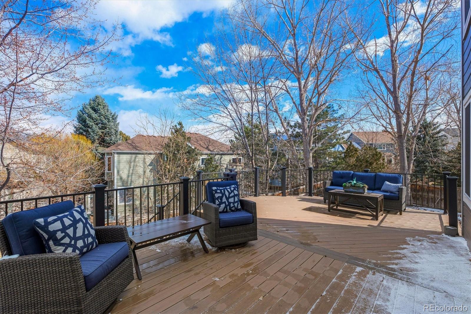 MLS Image #14 for 10011  saddlehorn lane,highlands ranch, Colorado