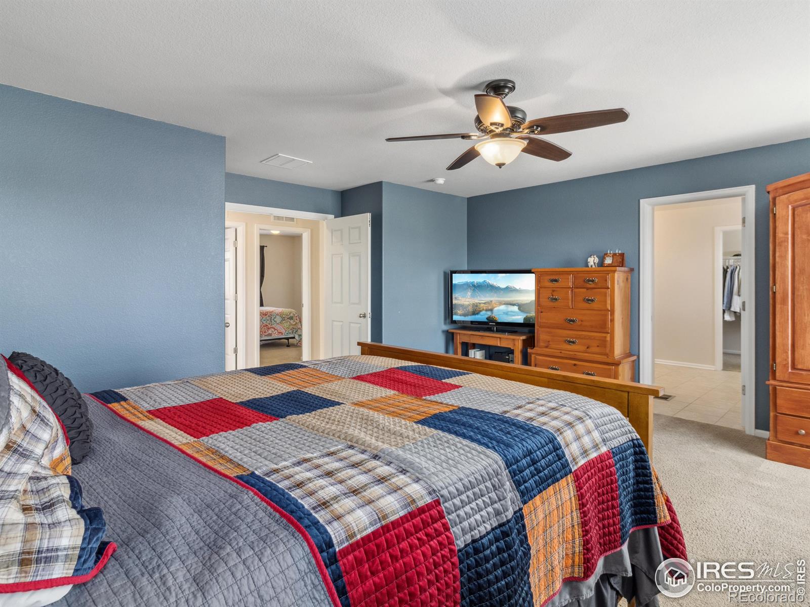 MLS Image #19 for 1417  bluemoon drive,longmont, Colorado