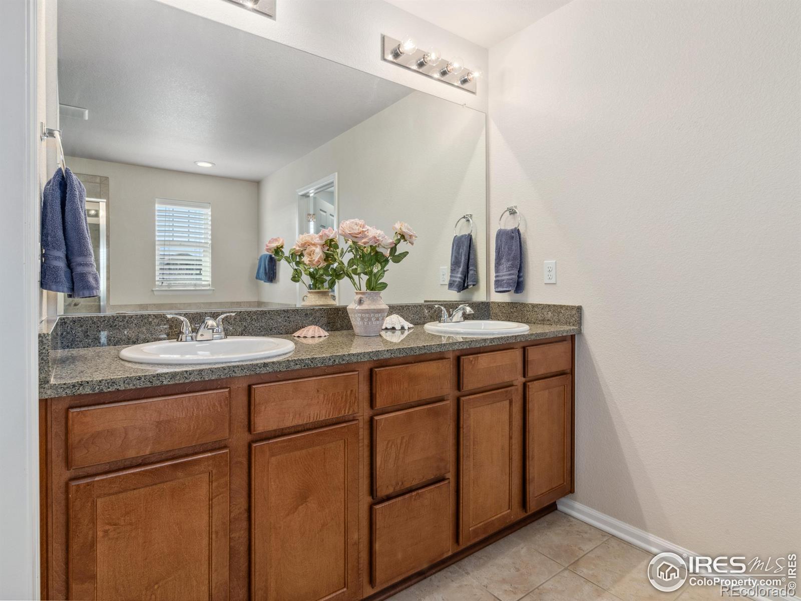 MLS Image #22 for 1417  bluemoon drive,longmont, Colorado