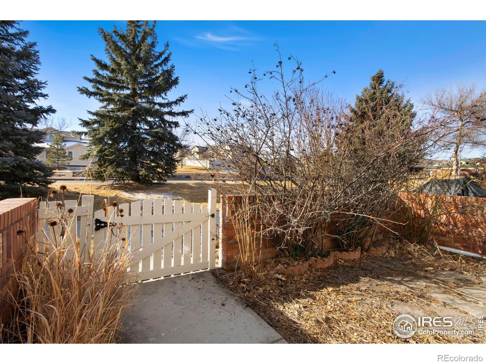 MLS Image #24 for 4500  seneca street,fort collins, Colorado