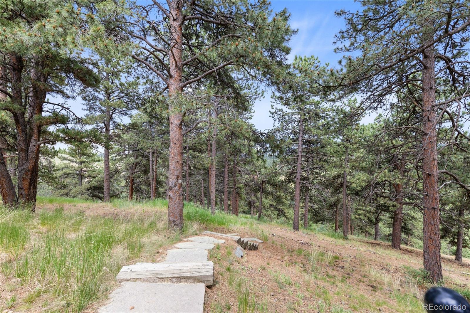 MLS Image #45 for 22554  treetop lane,golden, Colorado