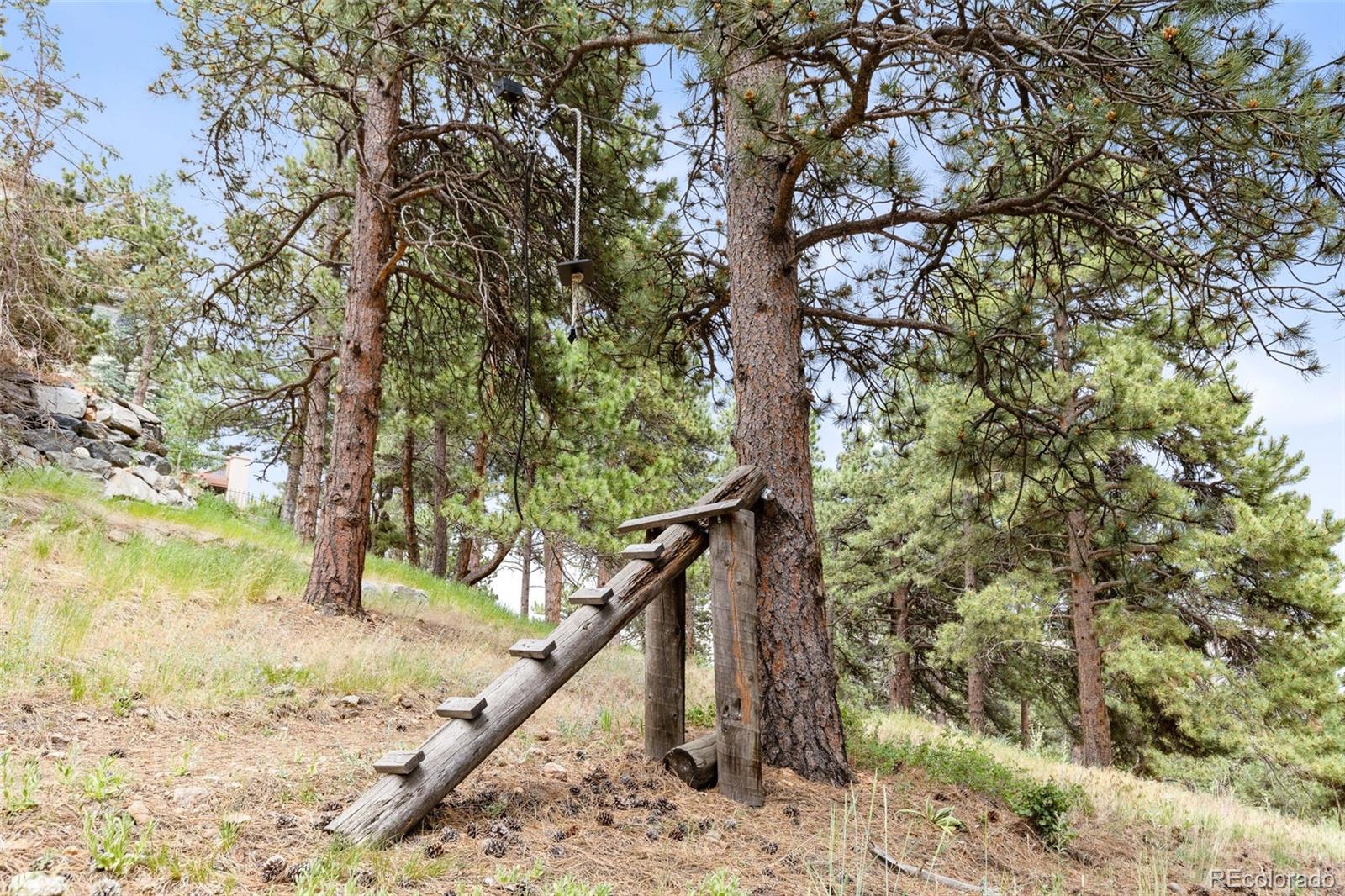 MLS Image #46 for 22554  treetop lane,golden, Colorado