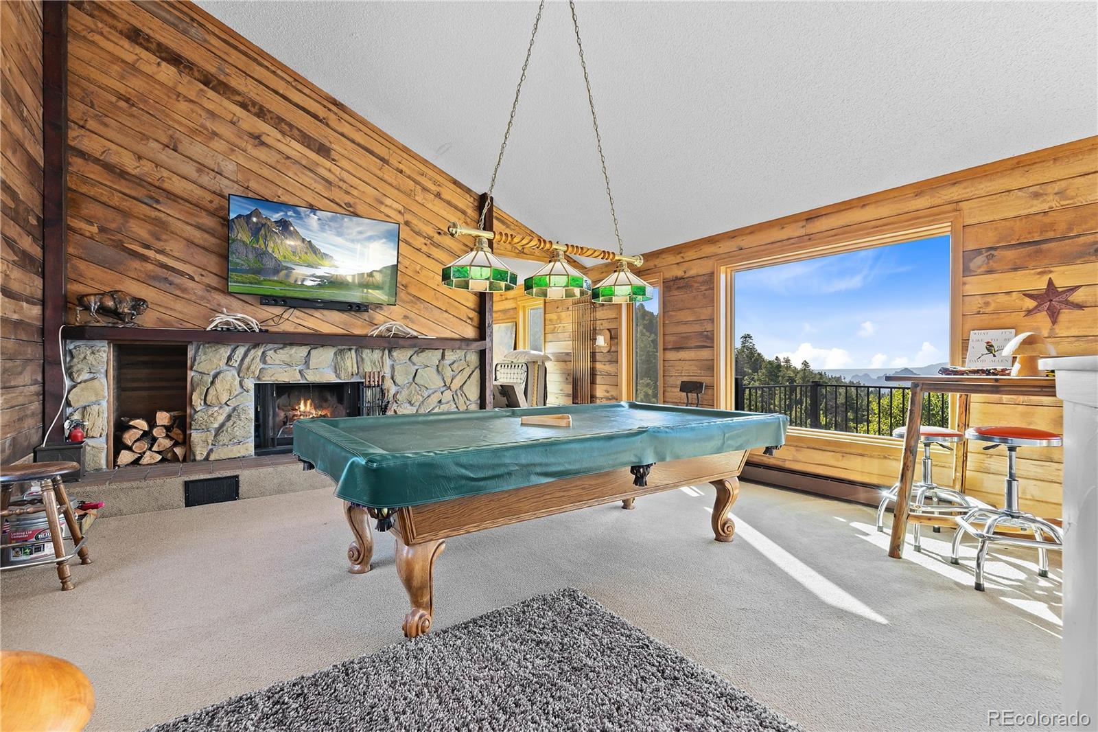 MLS Image #22 for 13035 s baird road,conifer, Colorado