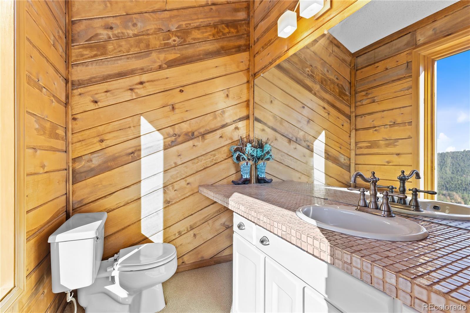 MLS Image #28 for 13035 s baird road,conifer, Colorado