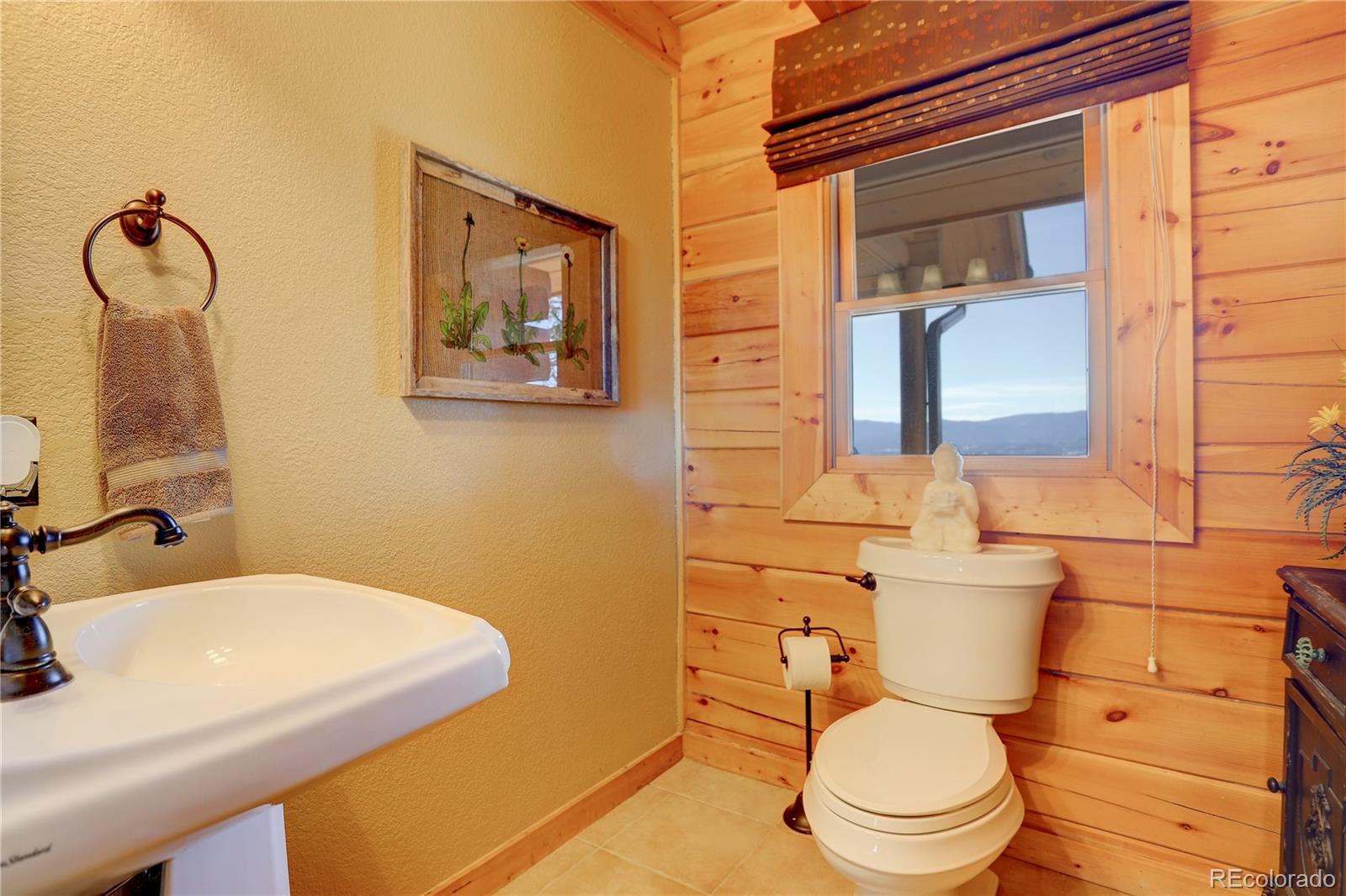 MLS Image #24 for 11450  marks drive,conifer, Colorado