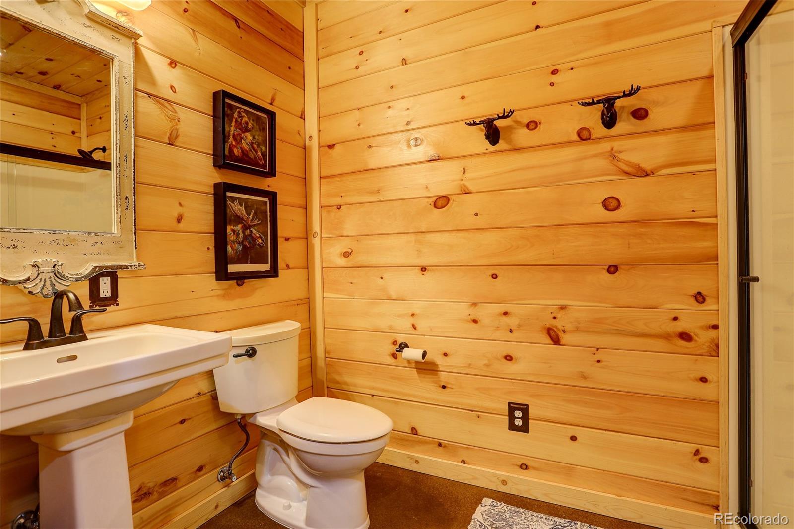 MLS Image #39 for 11450  marks drive,conifer, Colorado