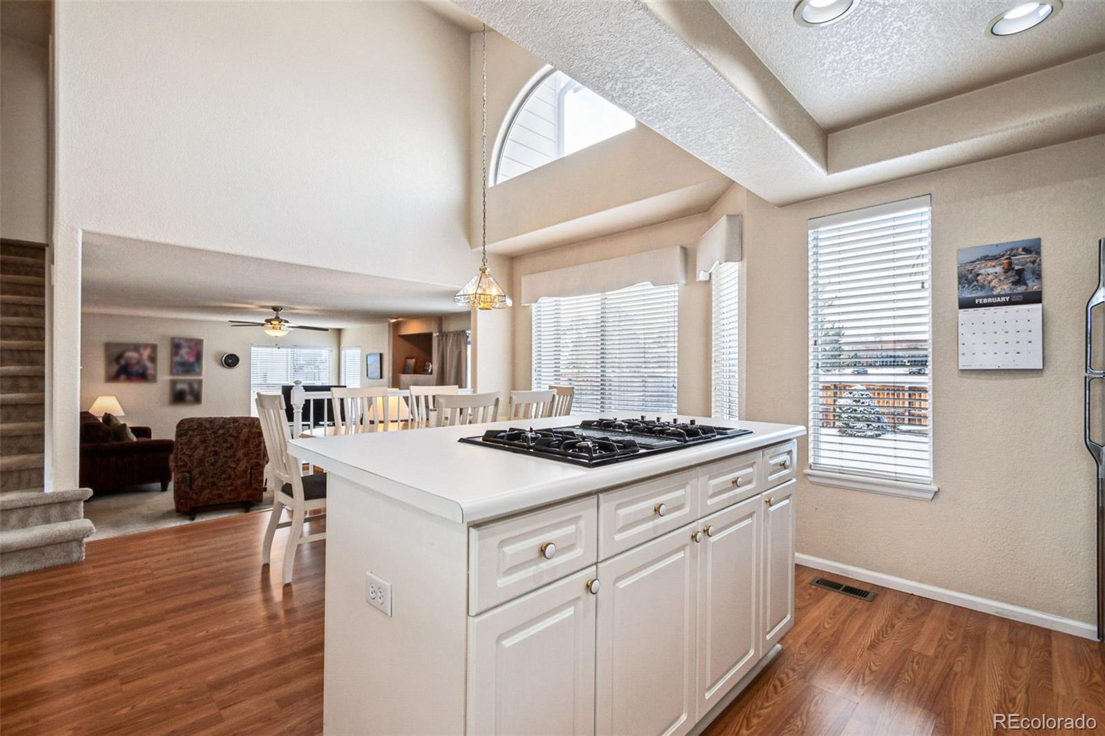 MLS Image #11 for 9421  morning glory lane,highlands ranch, Colorado