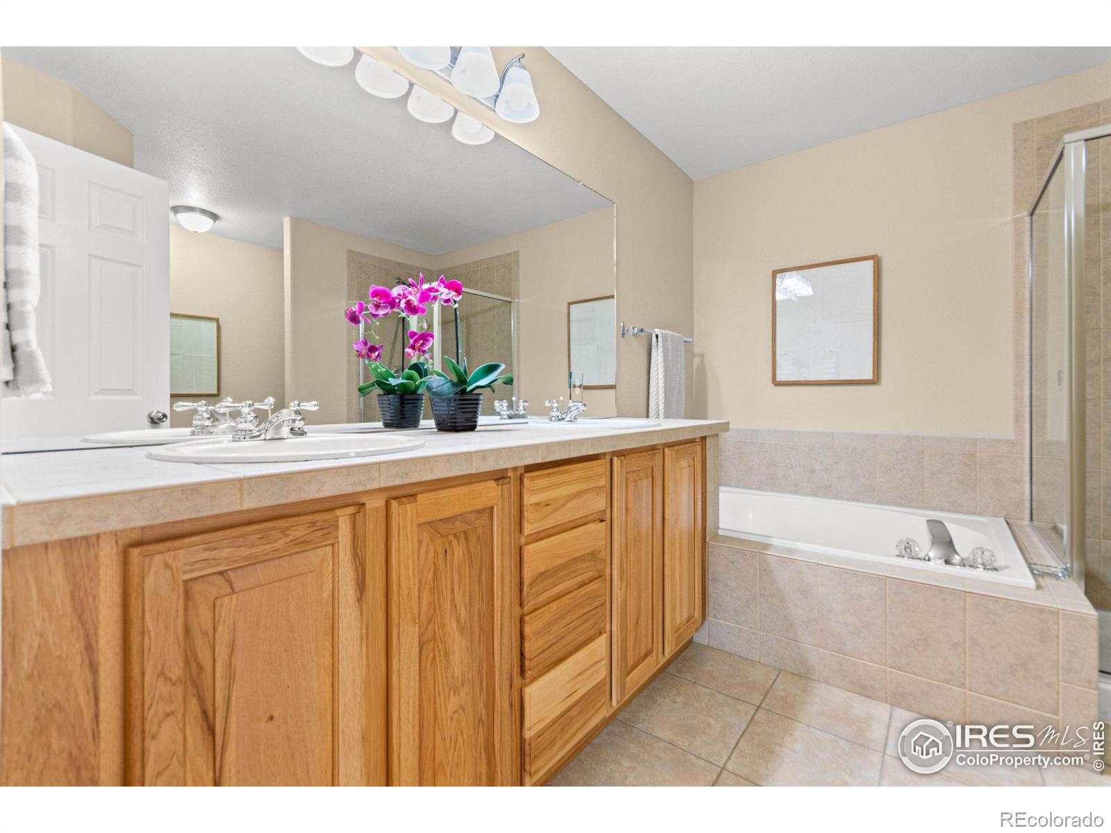 MLS Image #23 for 2920  tabernash drive,loveland, Colorado