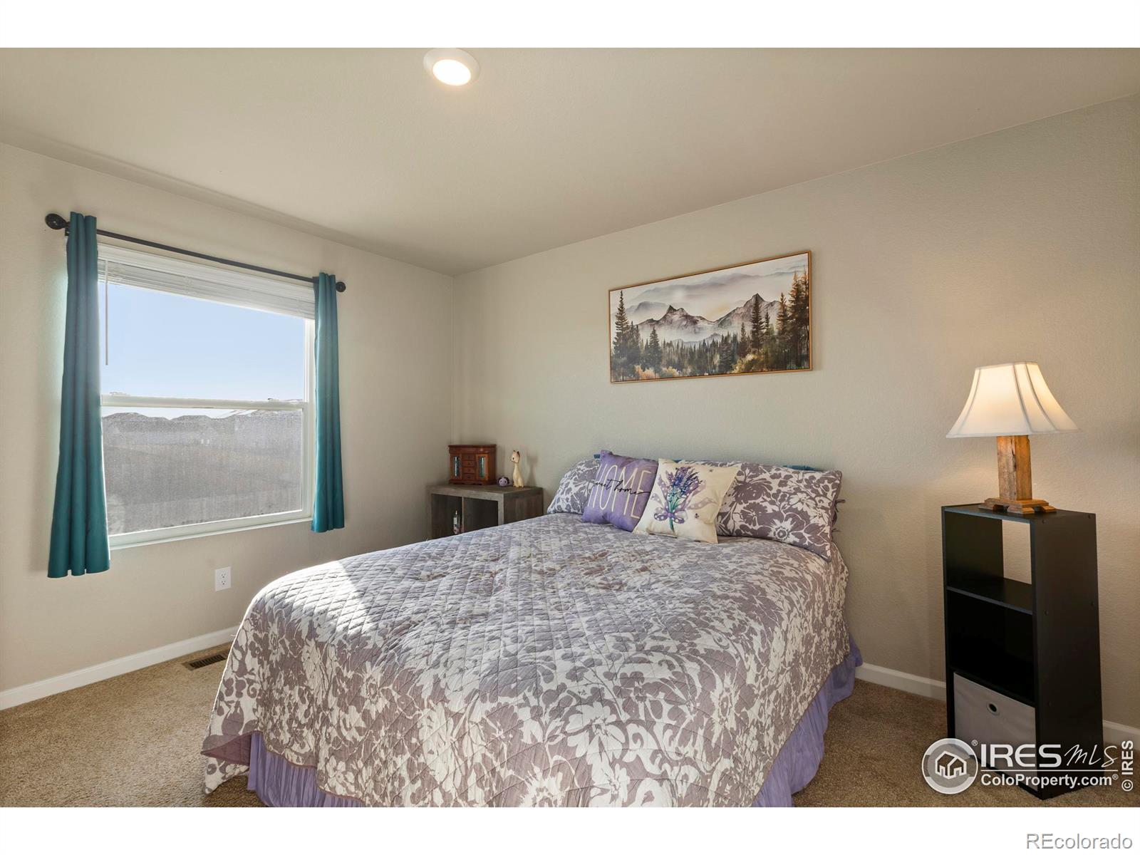 MLS Image #21 for 2509  alto street,fort lupton, Colorado