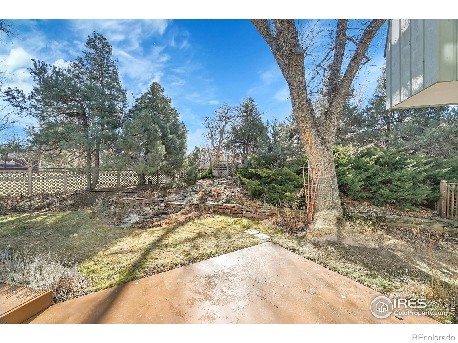 MLS Image #23 for 2408  frances drive,loveland, Colorado