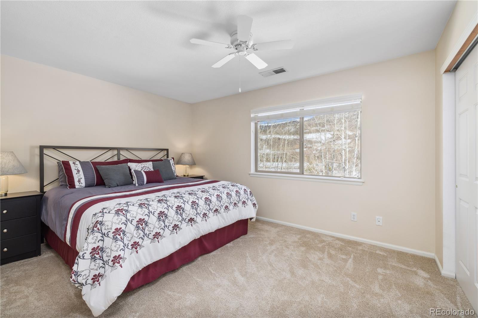 MLS Image #11 for 277  kestrel lane,silverthorne, Colorado