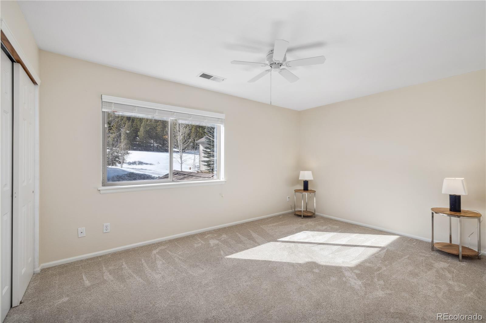 MLS Image #15 for 277  kestrel lane,silverthorne, Colorado