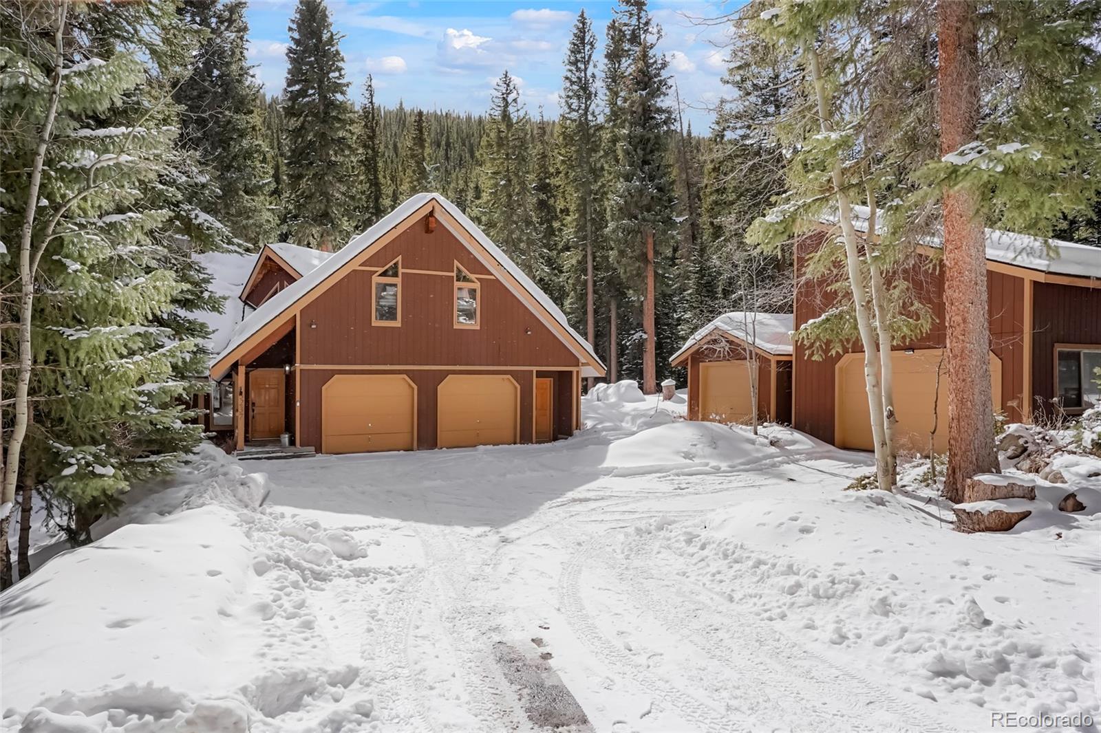 MLS Image #0 for 3237  mill creek road,dumont, Colorado