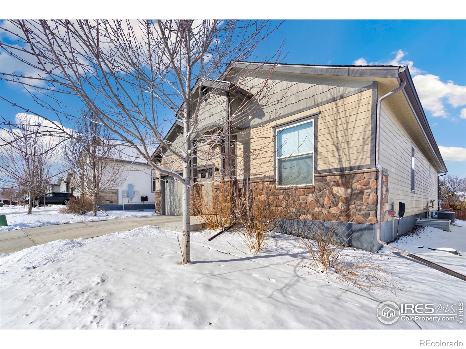 MLS Image #2 for 4321  martinson drive,loveland, Colorado