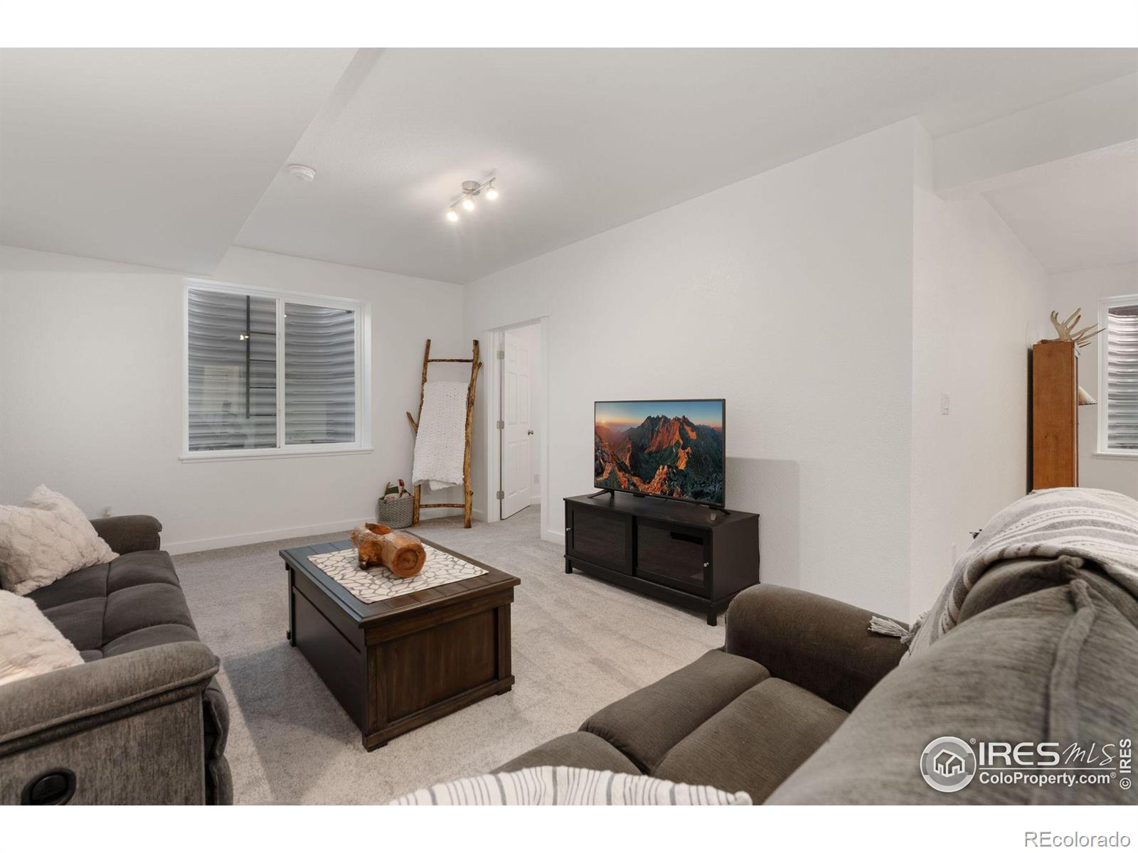 MLS Image #29 for 4321  martinson drive,loveland, Colorado