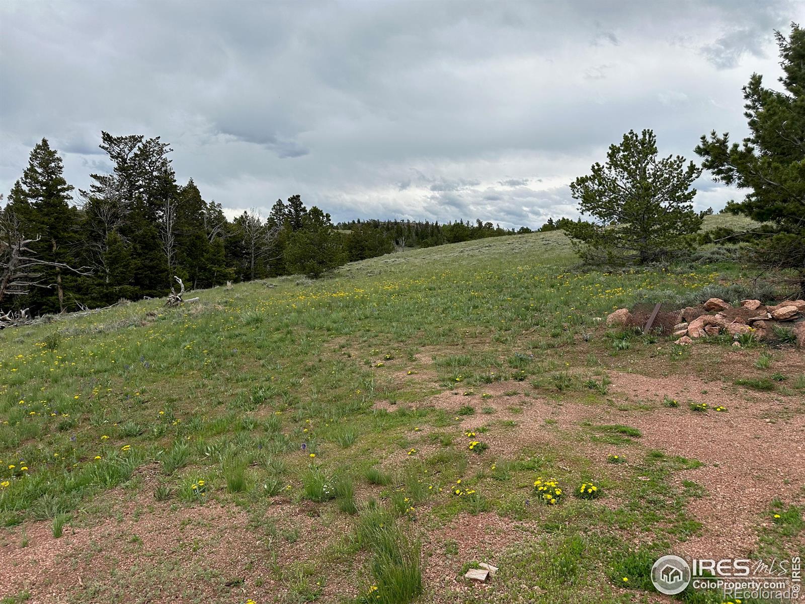 MLS Image #16 for 432  forest way,red feather lakes, Colorado