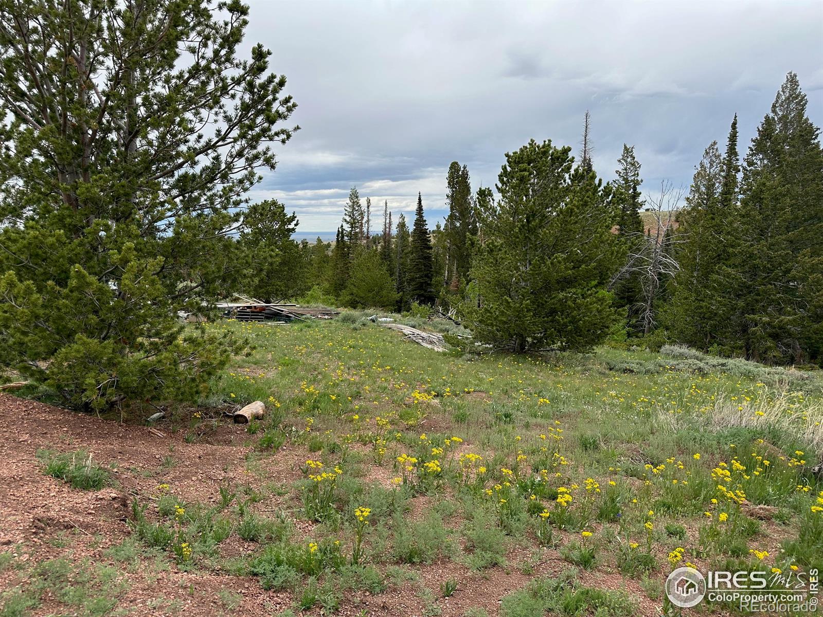 MLS Image #17 for 432  forest way,red feather lakes, Colorado