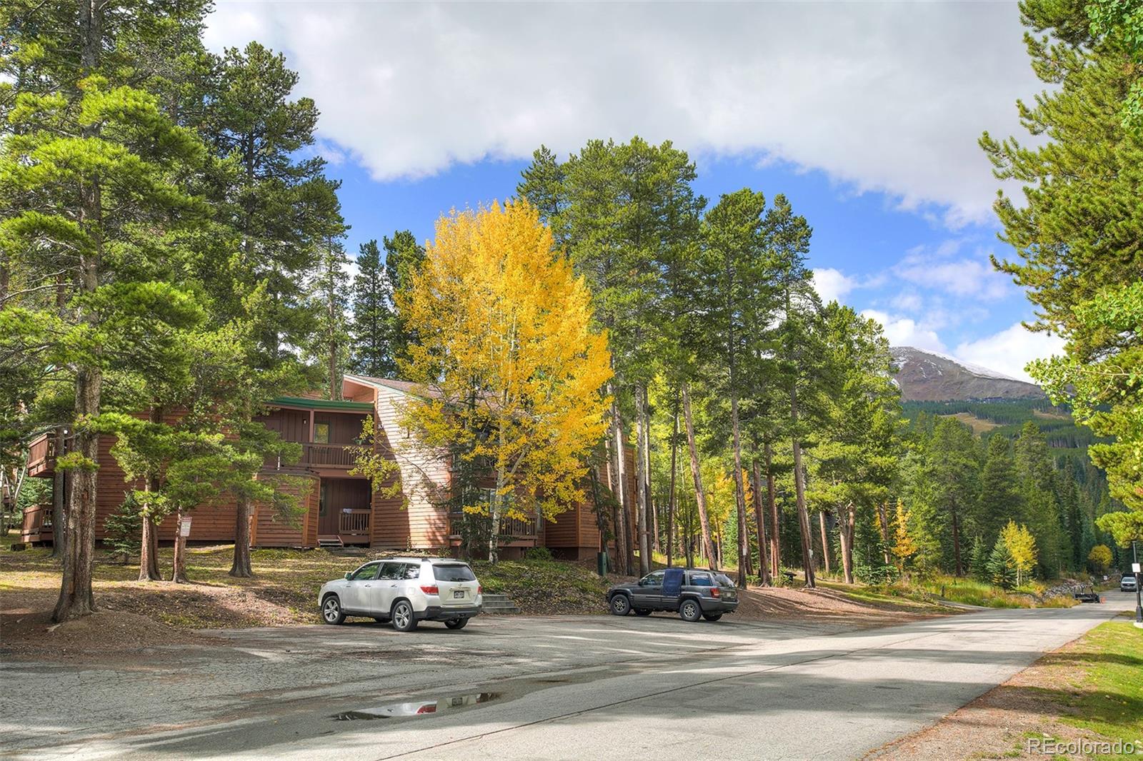 MLS Image #12 for 1080  ski hill road,breckenridge, Colorado