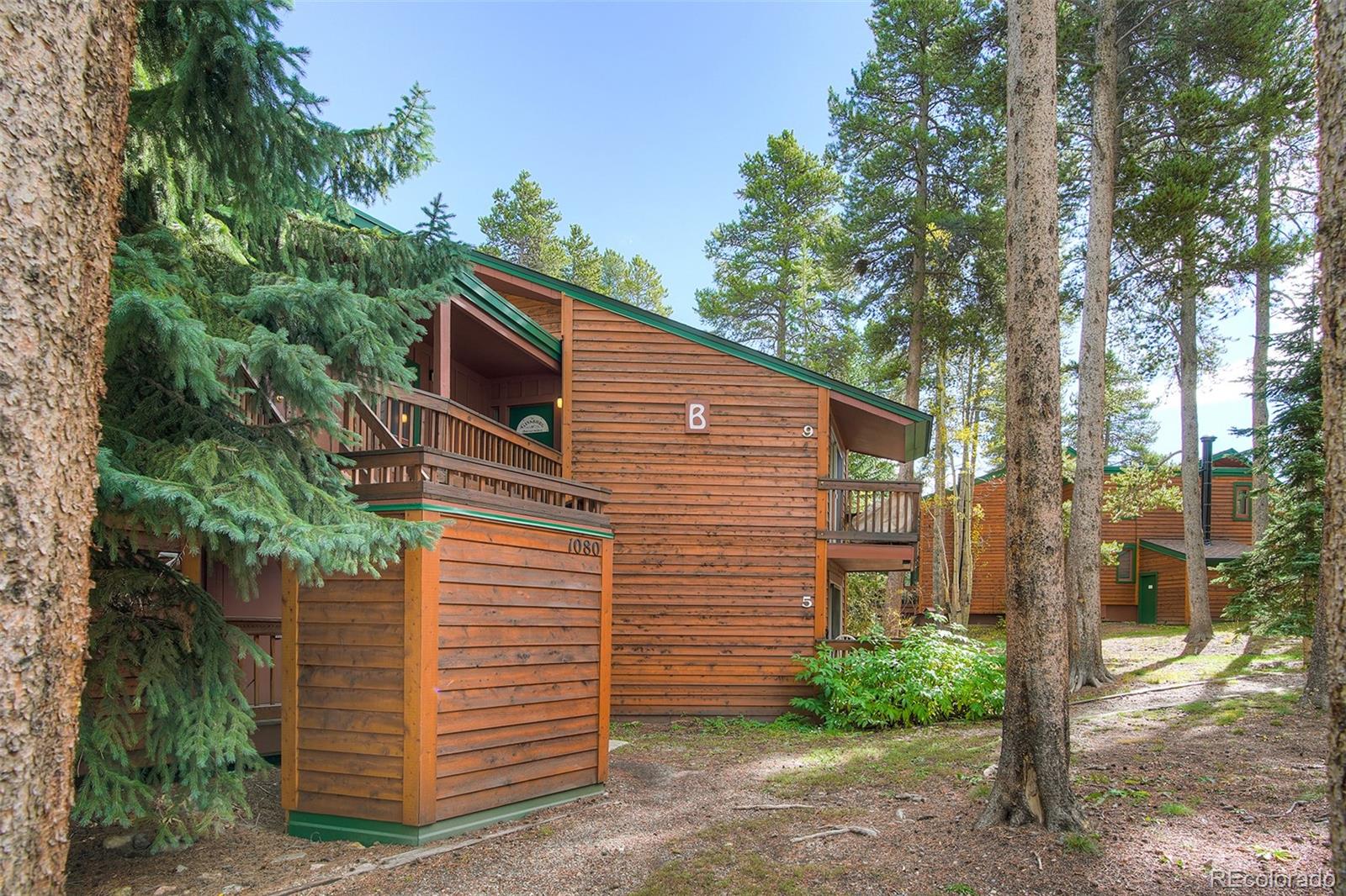 MLS Image #14 for 1080  ski hill road,breckenridge, Colorado