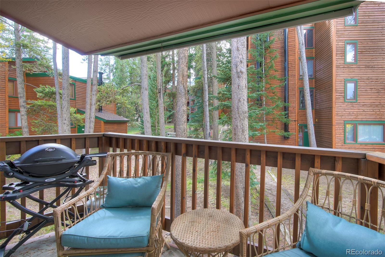 MLS Image #6 for 1080  ski hill road,breckenridge, Colorado