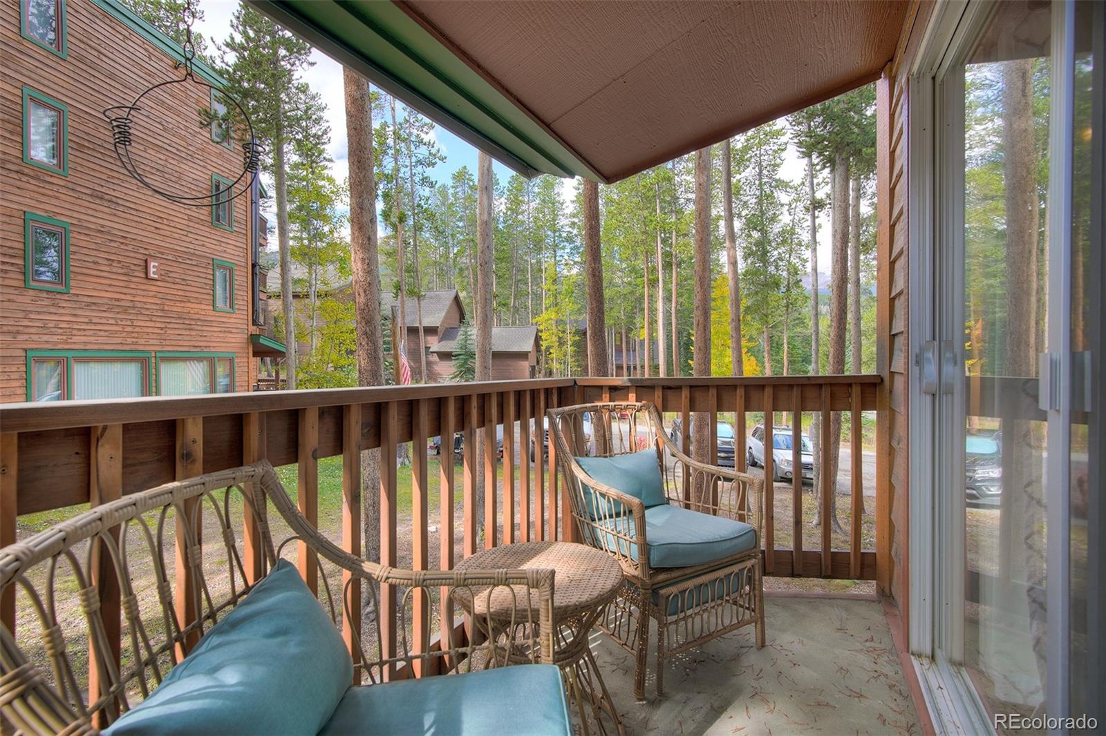 MLS Image #7 for 1080  ski hill road,breckenridge, Colorado