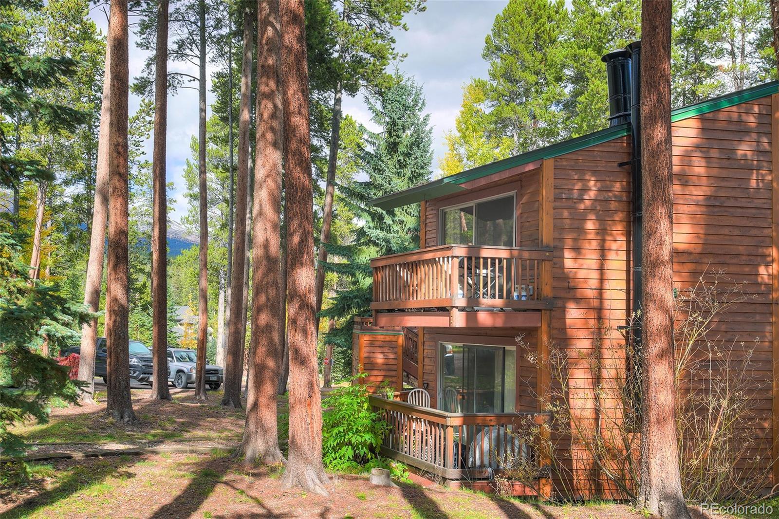 MLS Image #8 for 1080  ski hill road,breckenridge, Colorado