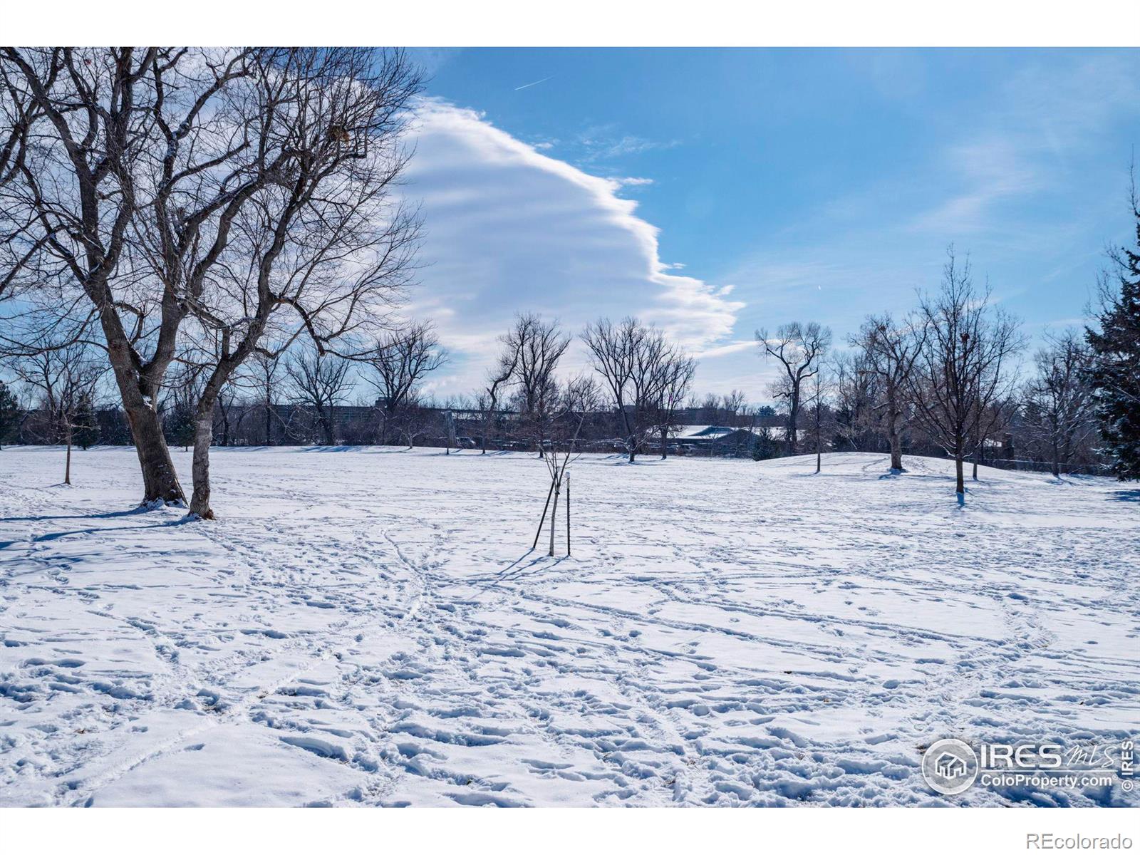 MLS Image #28 for 3630  iris avenue,boulder, Colorado