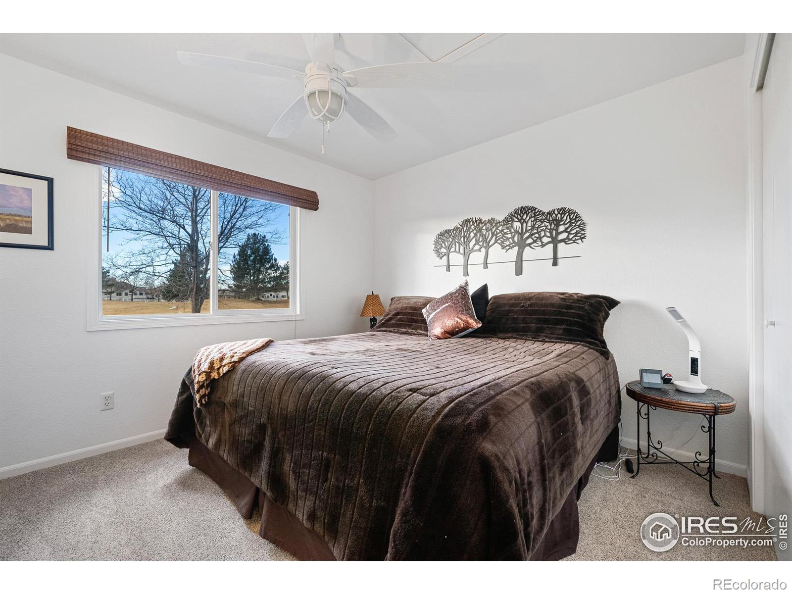 MLS Image #20 for 5072  saint andrews drive,loveland, Colorado