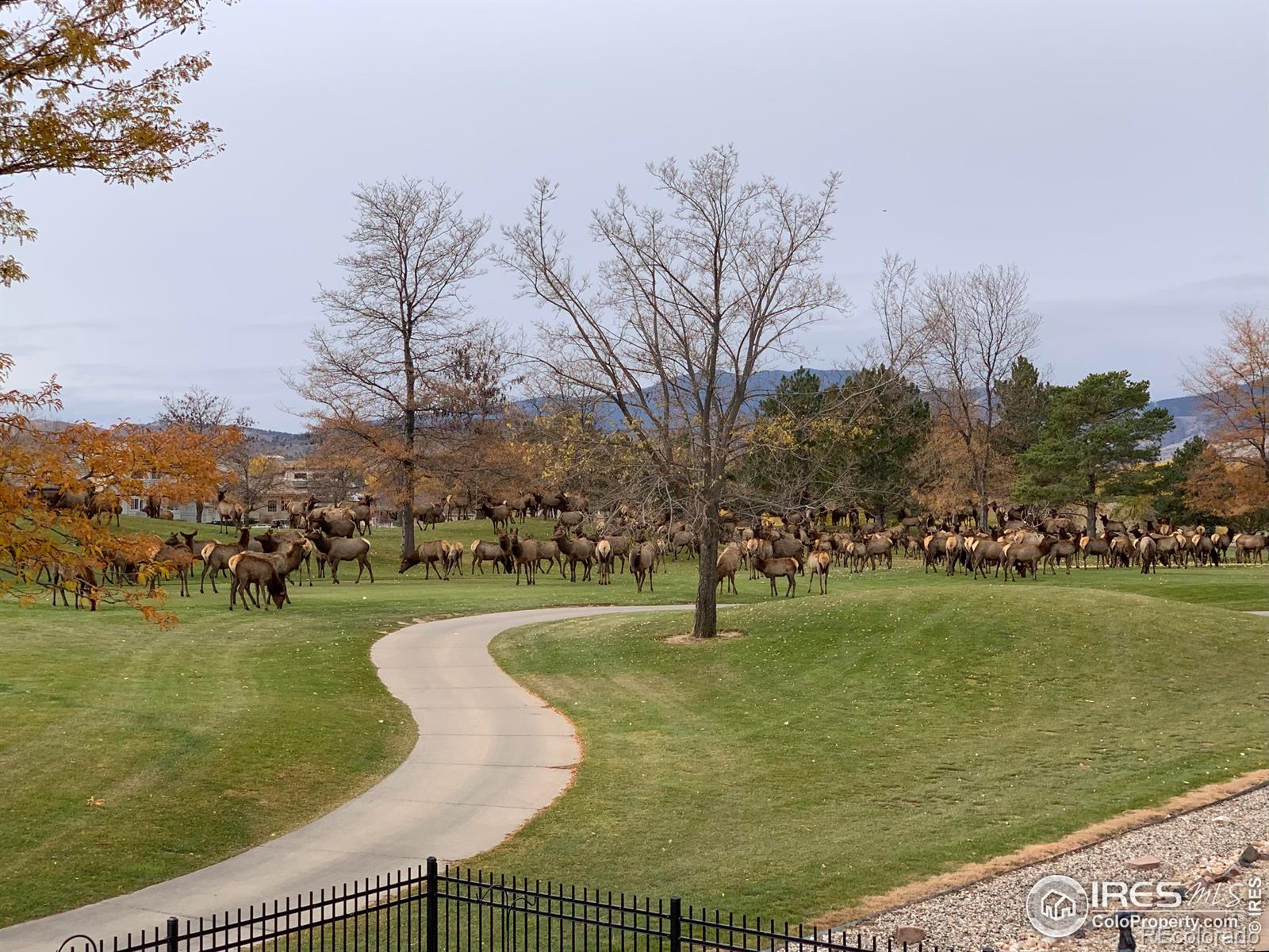 MLS Image #39 for 5072  saint andrews drive,loveland, Colorado