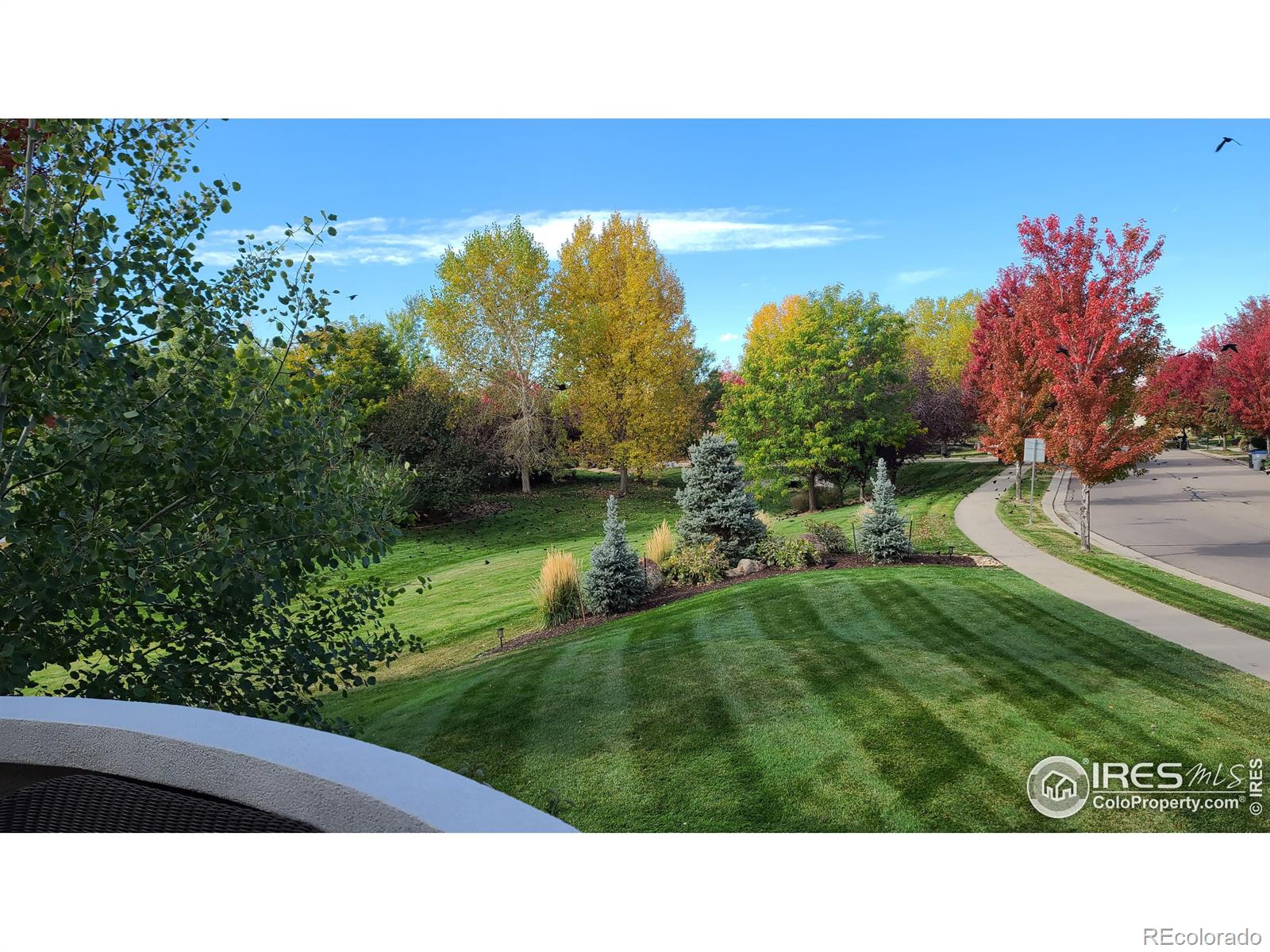 MLS Image #5 for 3805  glenn eyre drive,longmont, Colorado