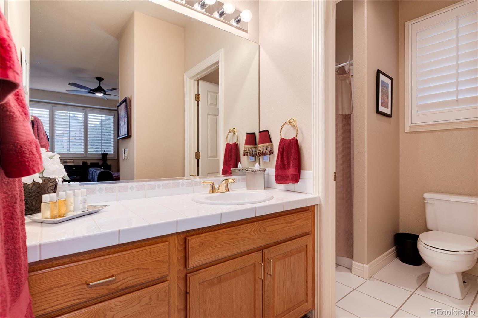 MLS Image #24 for 73  falcon hills drive,highlands ranch, Colorado