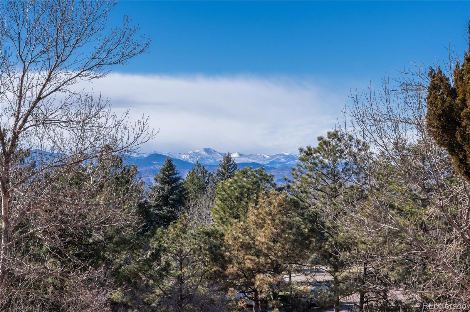 MLS Image #42 for 73  falcon hills drive,highlands ranch, Colorado