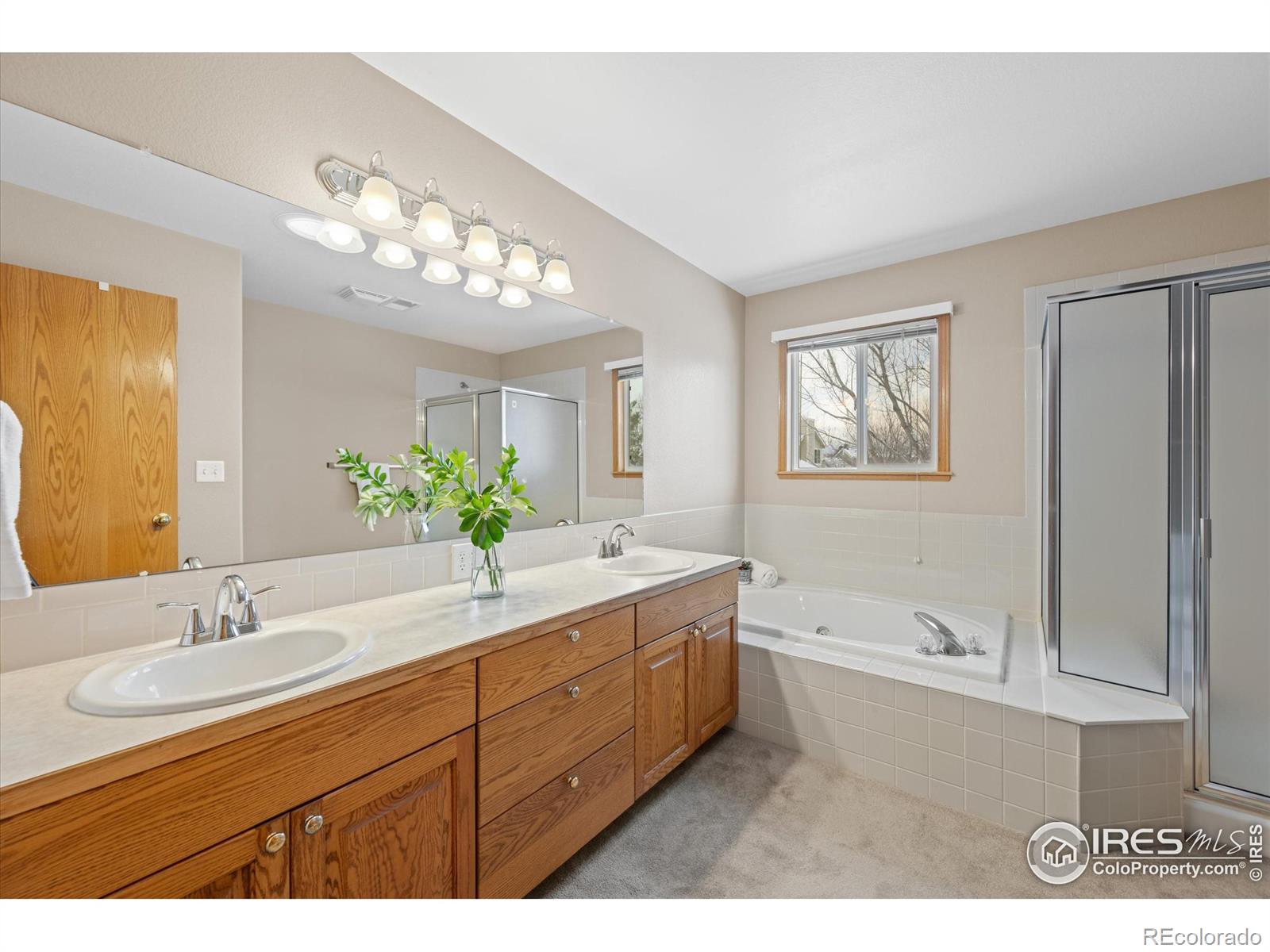 MLS Image #18 for 3169  5th place,loveland, Colorado