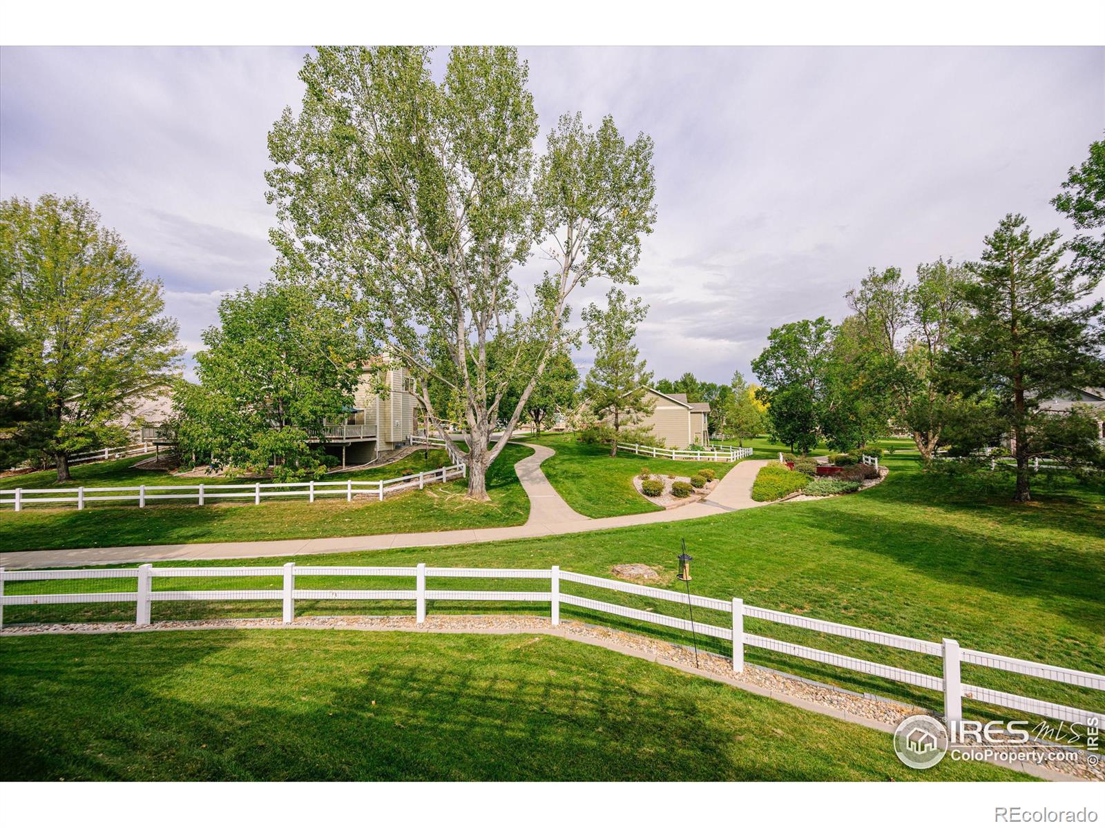 MLS Image #34 for 3169  5th place,loveland, Colorado