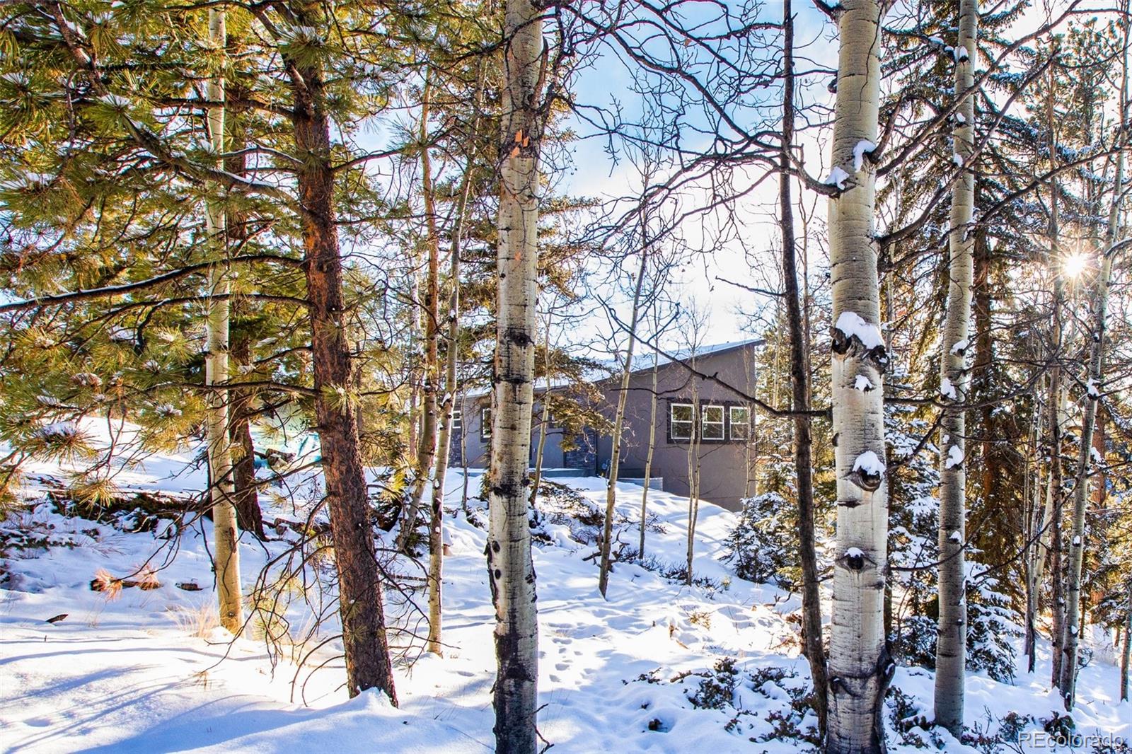 MLS Image #38 for 1328 n mountain estates road,florissant, Colorado