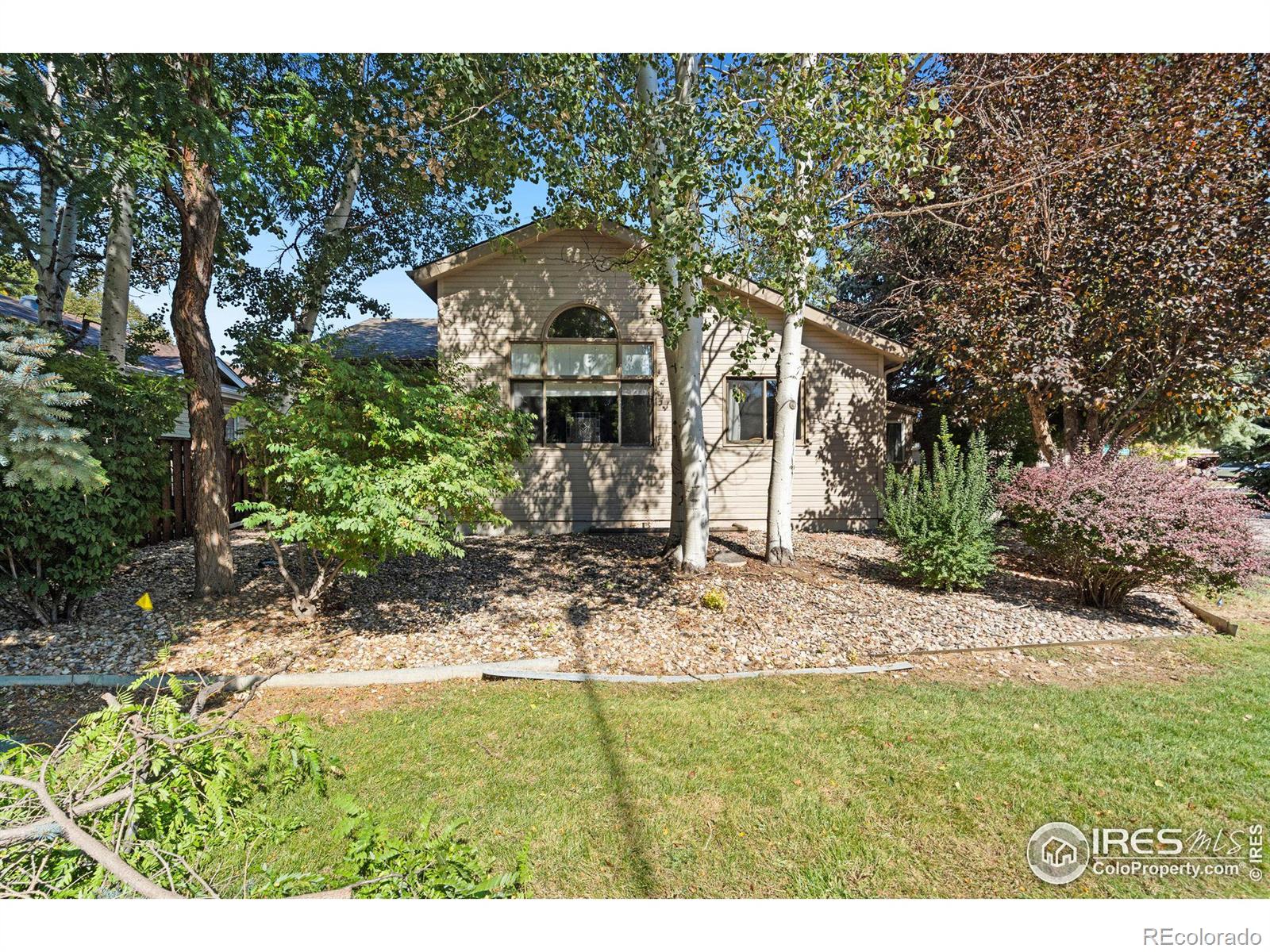 MLS Image #29 for 1438  front nine drive,fort collins, Colorado