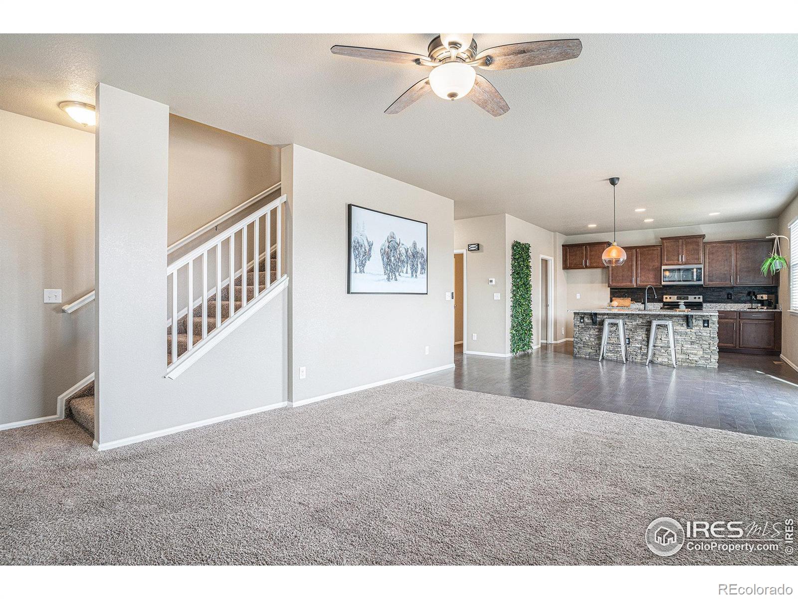 MLS Image #14 for 2283  stonefish drive,windsor, Colorado