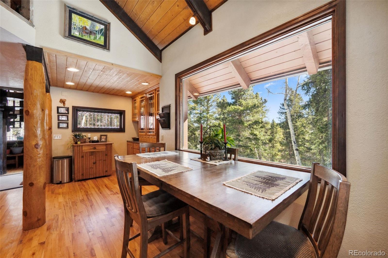 MLS Image #10 for 266  lodgepole drive,evergreen, Colorado