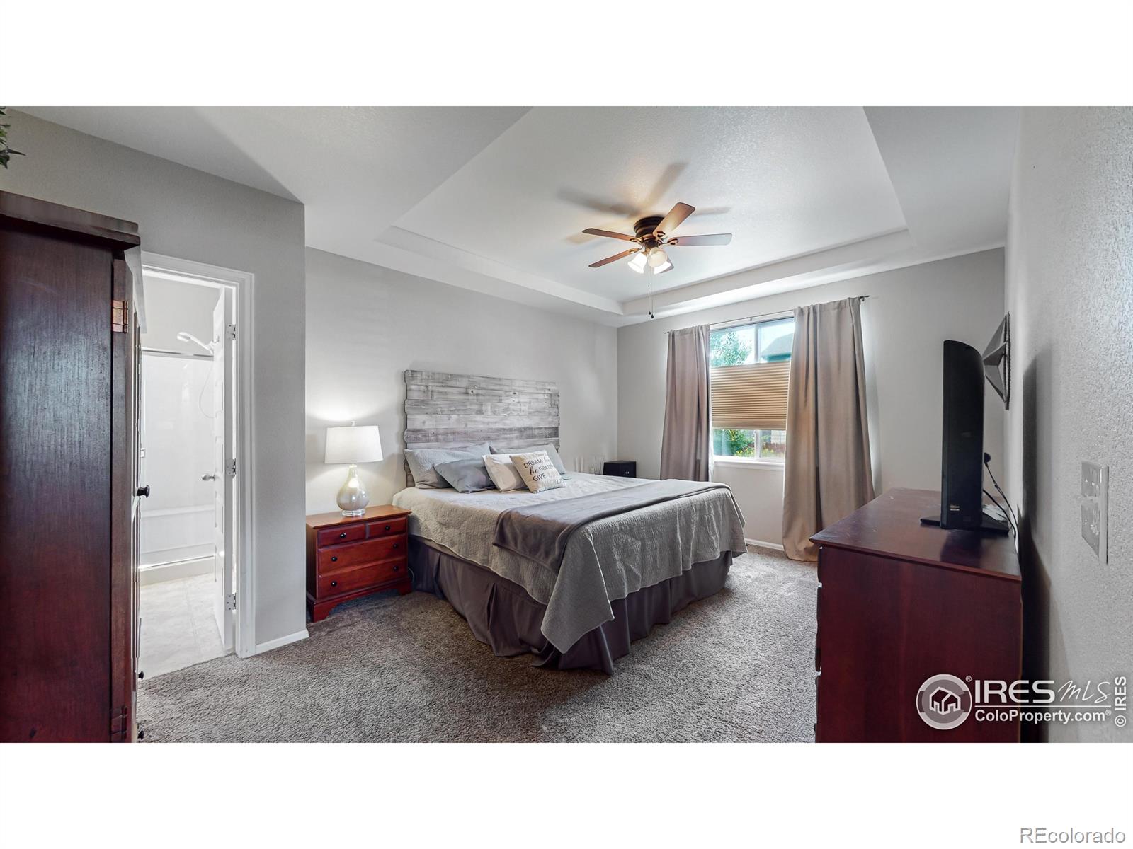 MLS Image #10 for 5543  calgary street,timnath, Colorado