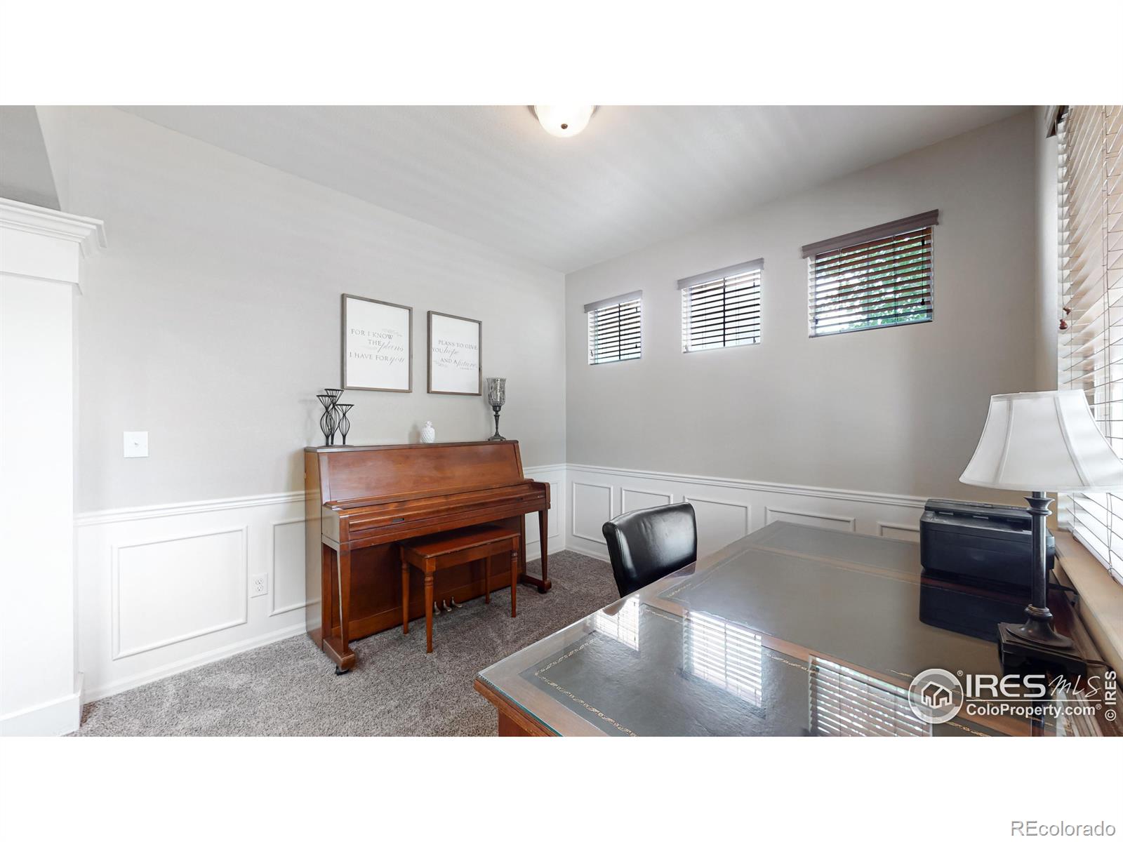 MLS Image #19 for 5543  calgary street,timnath, Colorado