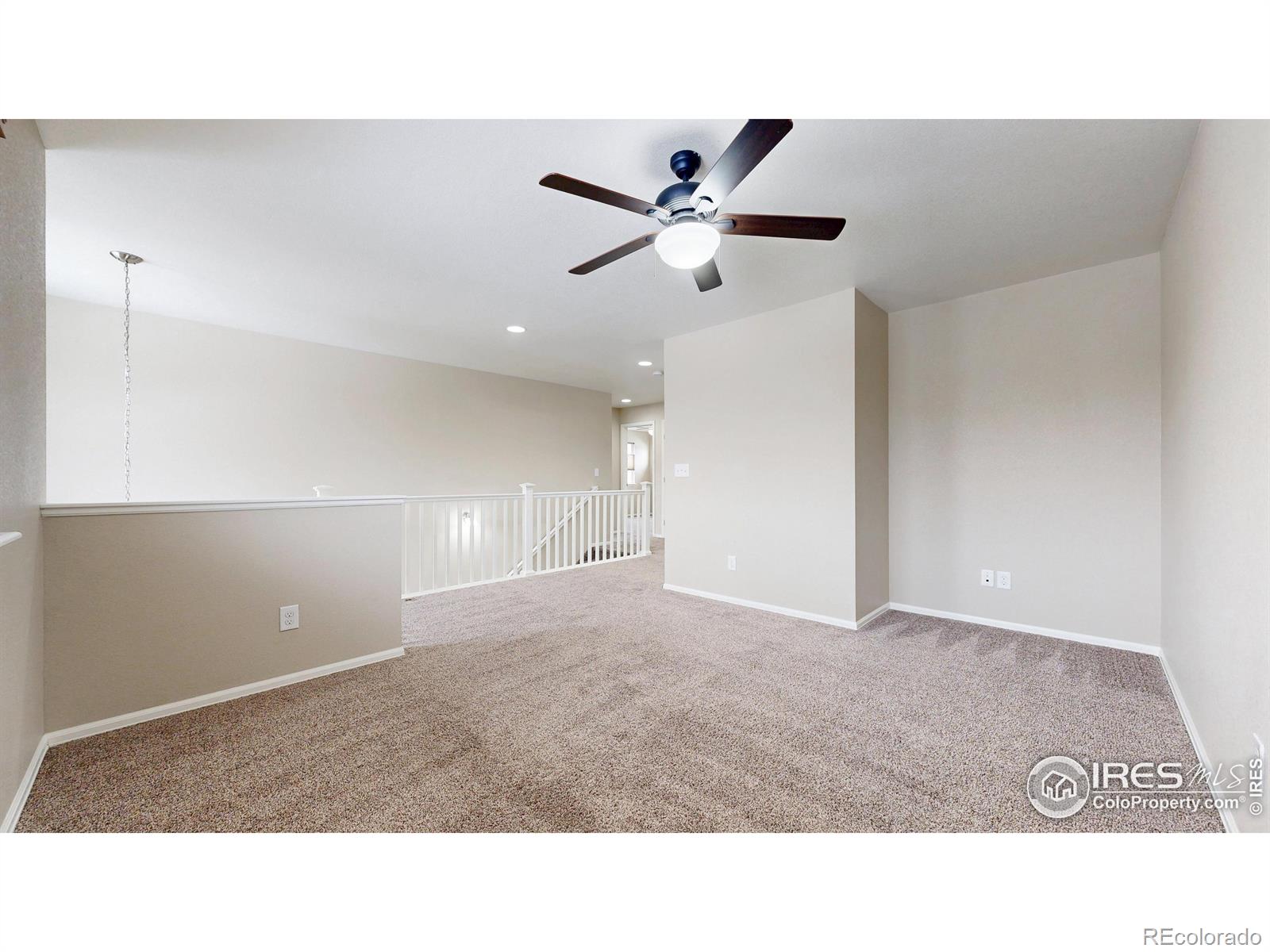 MLS Image #20 for 5543  calgary street,timnath, Colorado