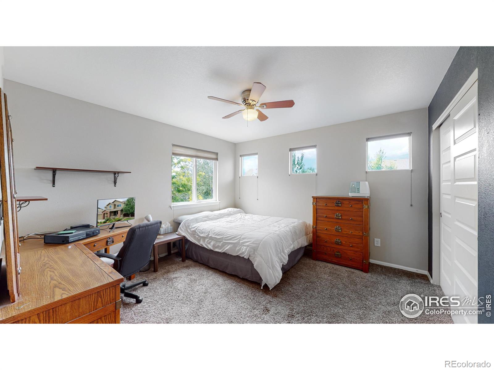 MLS Image #24 for 5543  calgary street,timnath, Colorado