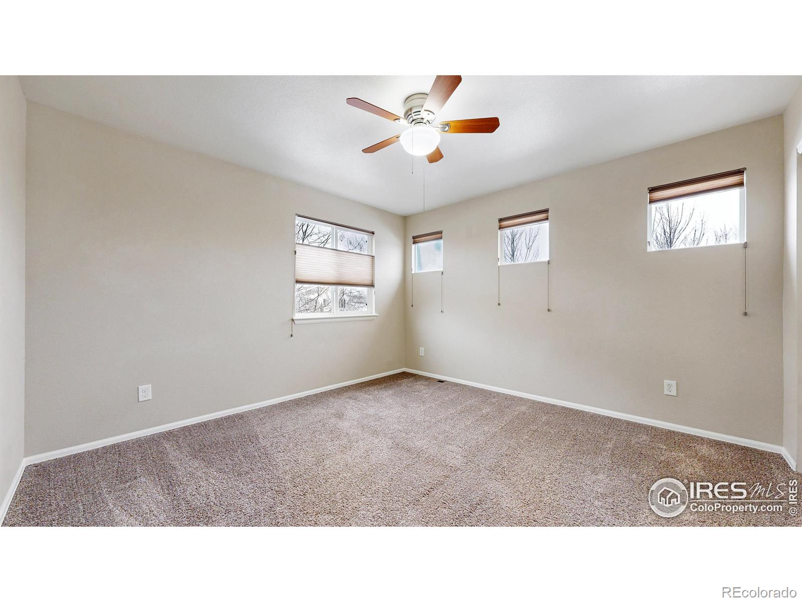 MLS Image #25 for 5543  calgary street,timnath, Colorado