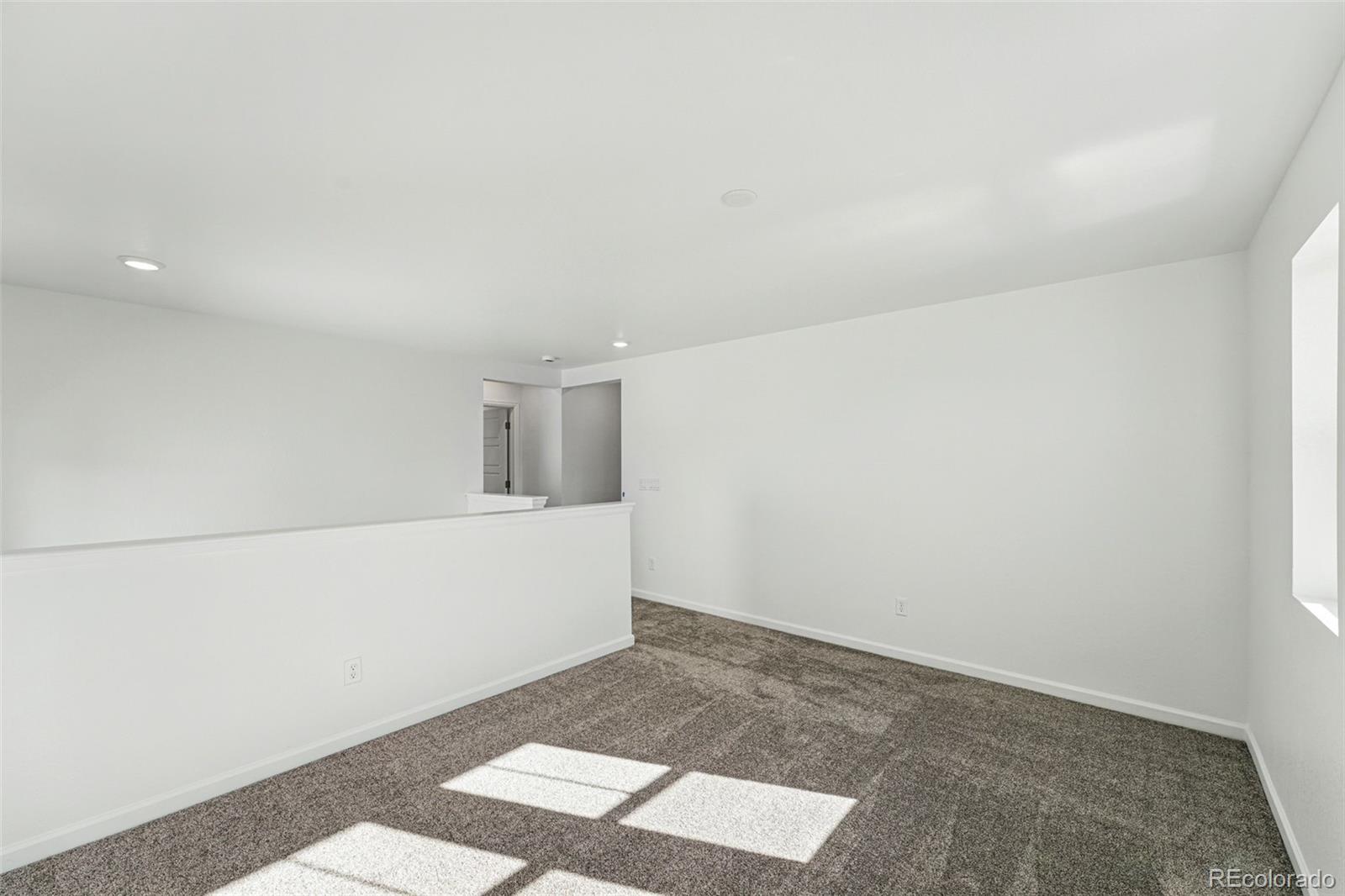 MLS Image #18 for 8816  whiteclover street,littleton, Colorado