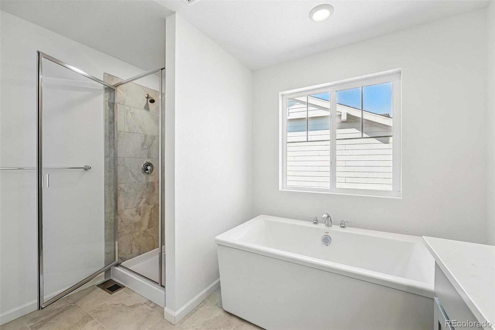 MLS Image #21 for 8816  whiteclover street,littleton, Colorado