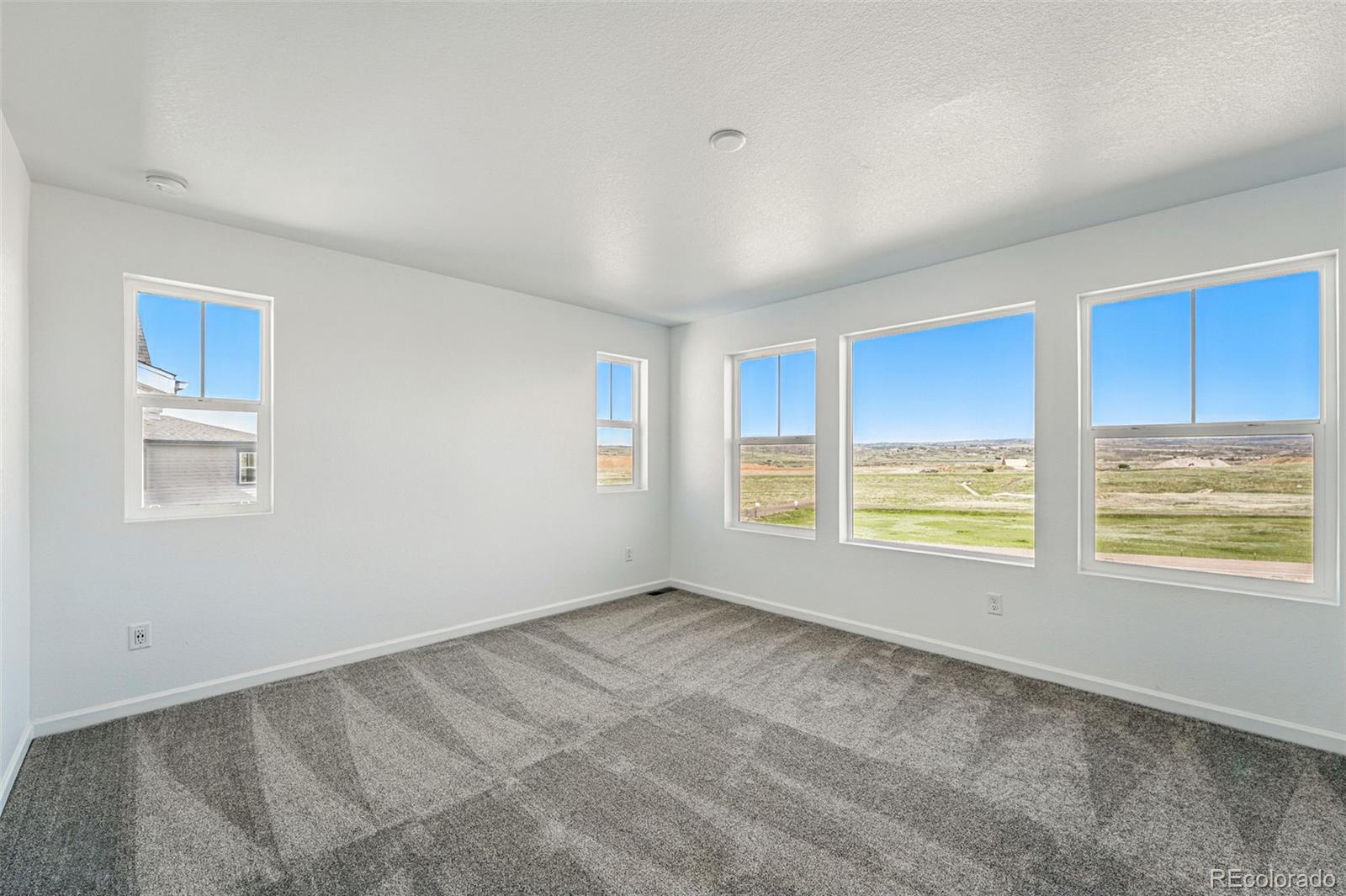 MLS Image #5 for 8816  whiteclover street,littleton, Colorado